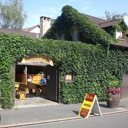 Böne Vendégház és Borozó Tokaj Exterior foto